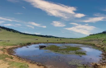 Fanal Lake