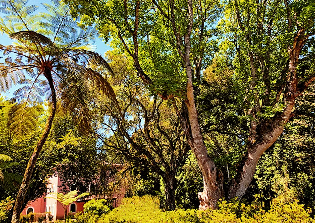 Jardim da Quinta do Santo da Serra