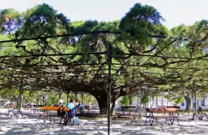 Príncipe Real, Estrela e São Bento (Lisboa)