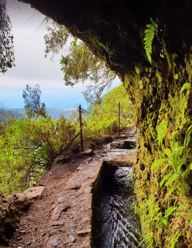 Levada do Caldeirão Verde, ilha da Madeira