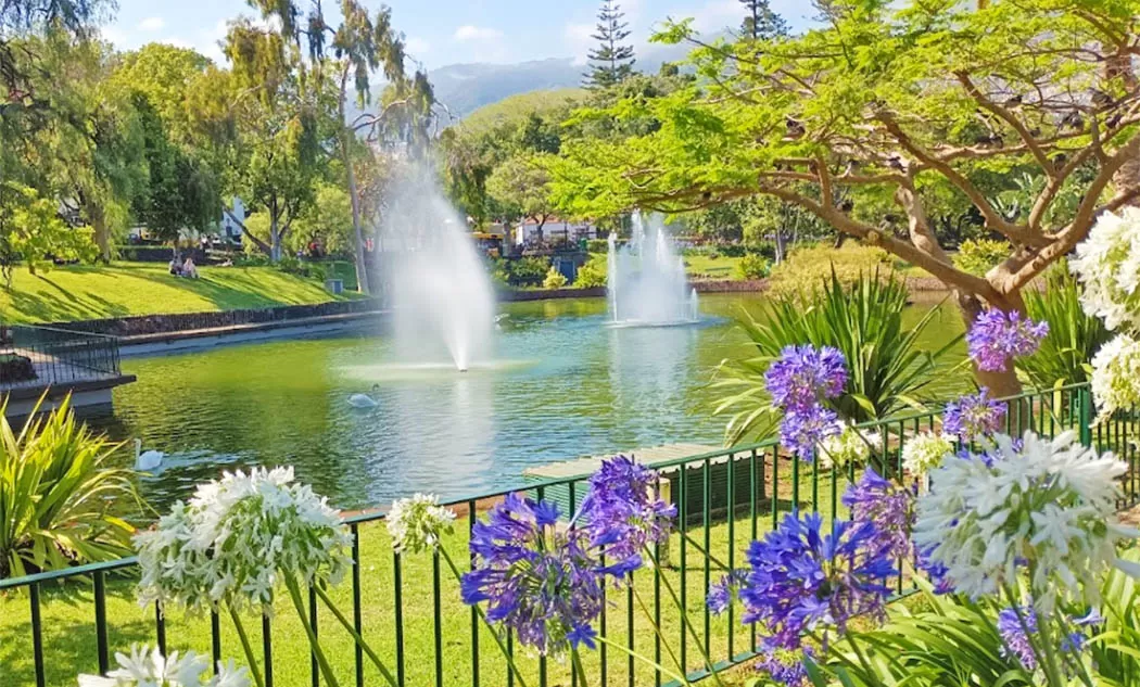 maravilhoso jardim Municipal do Funchal 