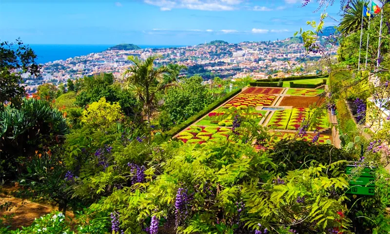 Jardim Botânico, Funchal - sítios a visitar na madeira